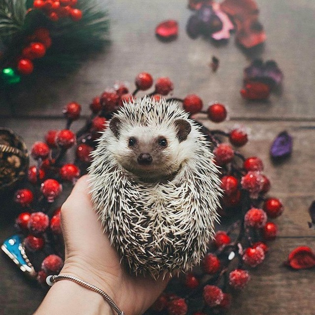 Финальный тест